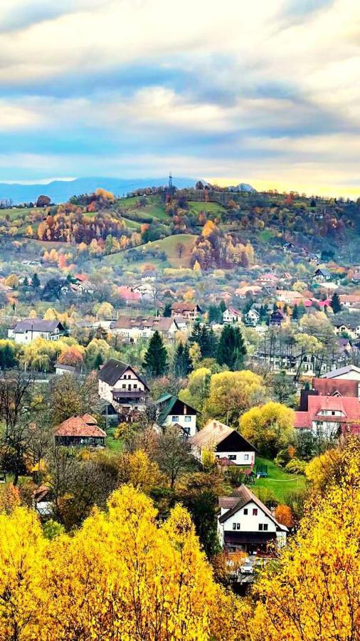 Pensiunea Ursulet Bran Bran  Exteriör bild