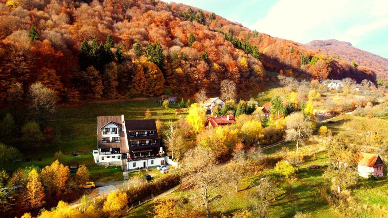 Pensiunea Ursulet Bran Bran  Exteriör bild